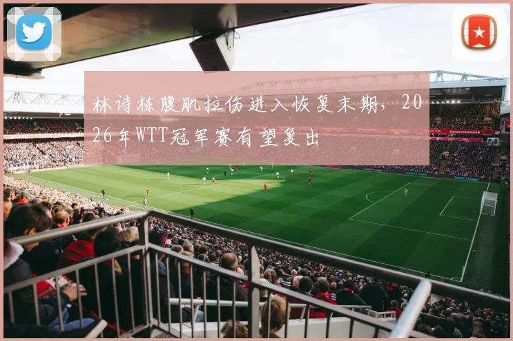 林诗栋腹肌拉伤进入恢复末期,2026年WTT冠军赛有望复出